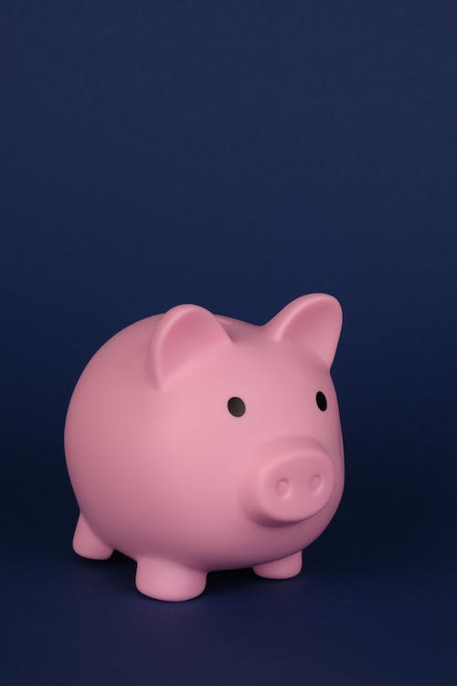  계묘년/정해일주/일주론/남자,여자