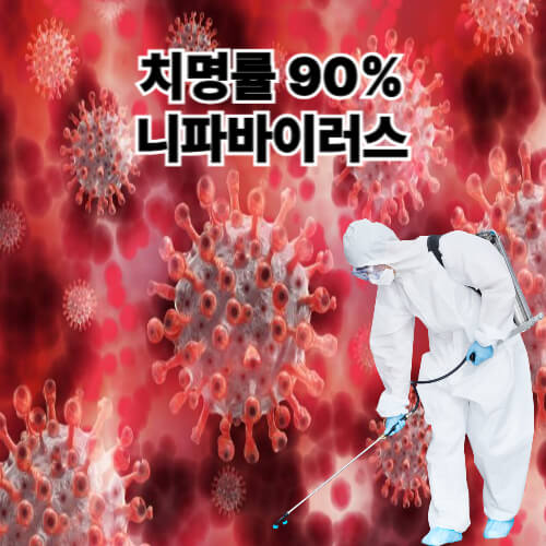 니파바이러스