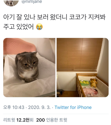  공동육아냥