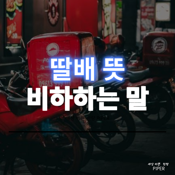  딸배 뜻 : 비하하는말