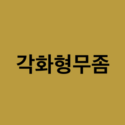 각화성무좀의 증상과 치료