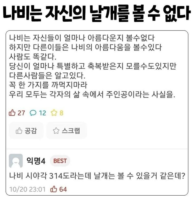 나비는 자신의 날개를 볼 수 없다
나비는 자신들이 얼마나 아름다운지 볼수없다 하지만 다른이들은 나비의 아름다움을 볼수있다 사람도 똑같다.
당신이 얼마나 특별하고 축복받은지 모를수도있지만 다른사람들은 알고있다. 꼭 한 가지를 까먹지마라 우리 모두는 각자의 삶 속에서 주인공이라는 사실을.
27
128
공감 ☆
스크랩
익명4
BEST
나비 시야각 314도라는데 날개는 볼 수 있을거 같은데?