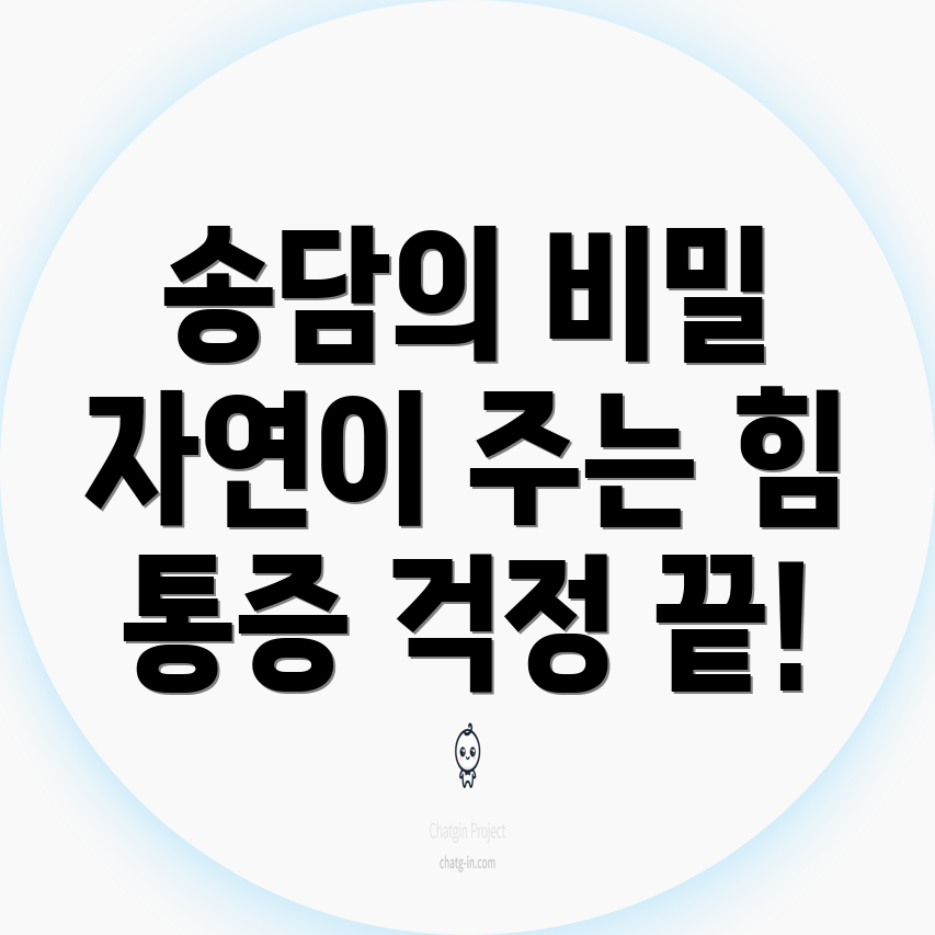 송담