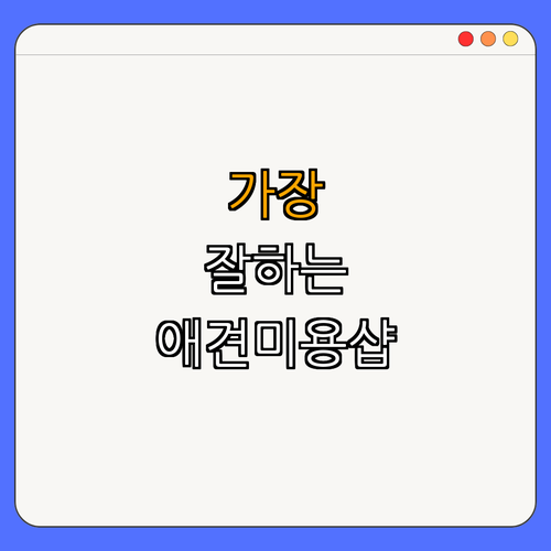 5호선 충정로역 반려동물미용 ｜ 애견미용 잘하는 곳 ｜ 퍼피하우스 ｜ 공독 ｜ 서촌도그살롱 ｜ 르까듀 ｜ 총정리