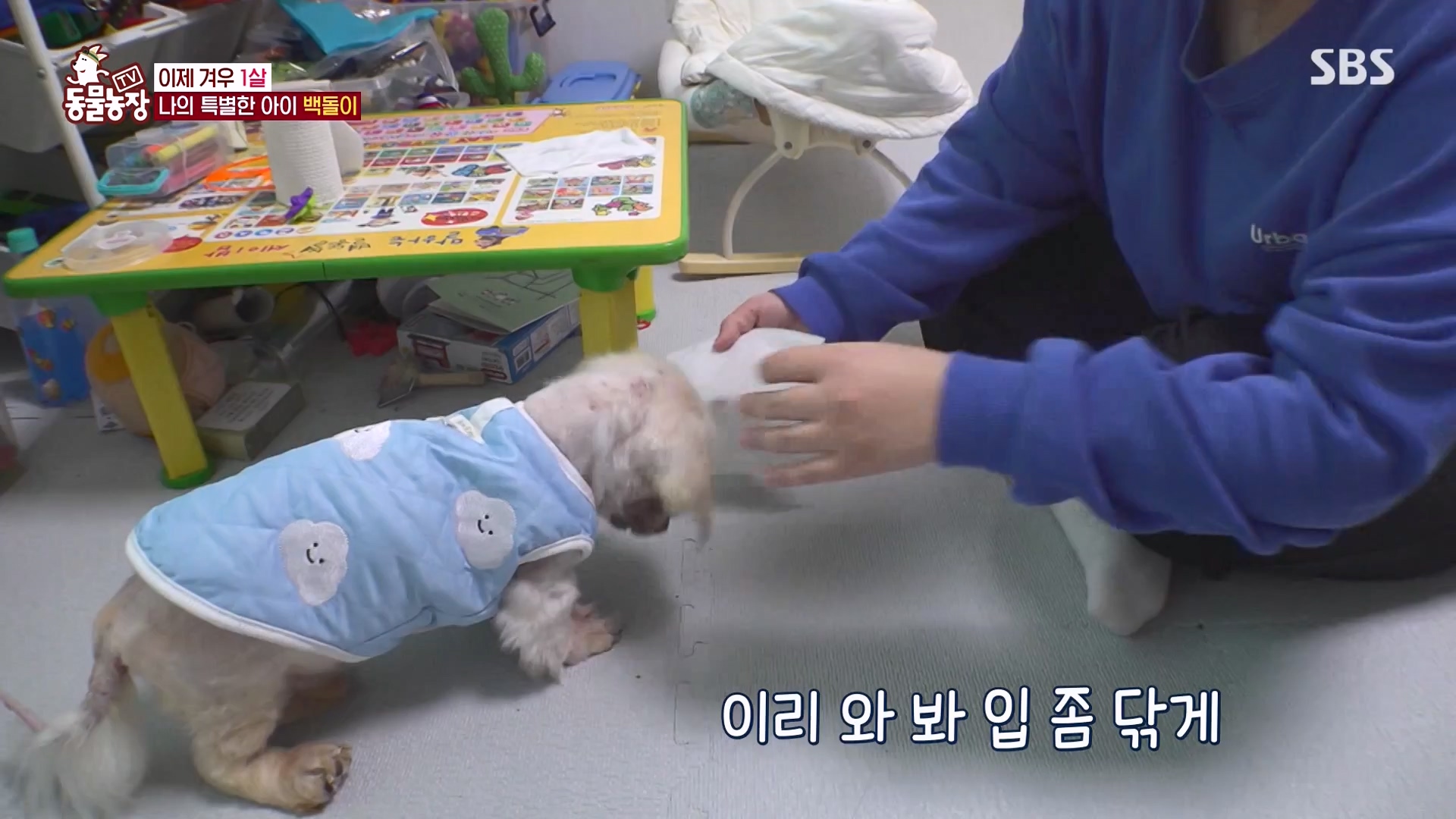 TV 동물농장.E1164.240324p-NEXT.mp4_20240324_172343.904.jpg