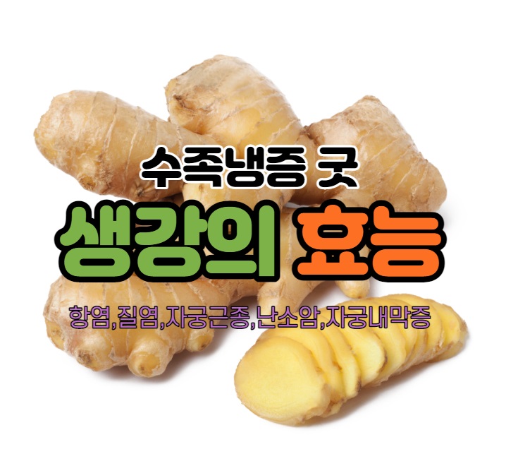  생강 生姜 효능 따뜻한 성질로 감기 기침 가래 생선 게 독도 완화한다.