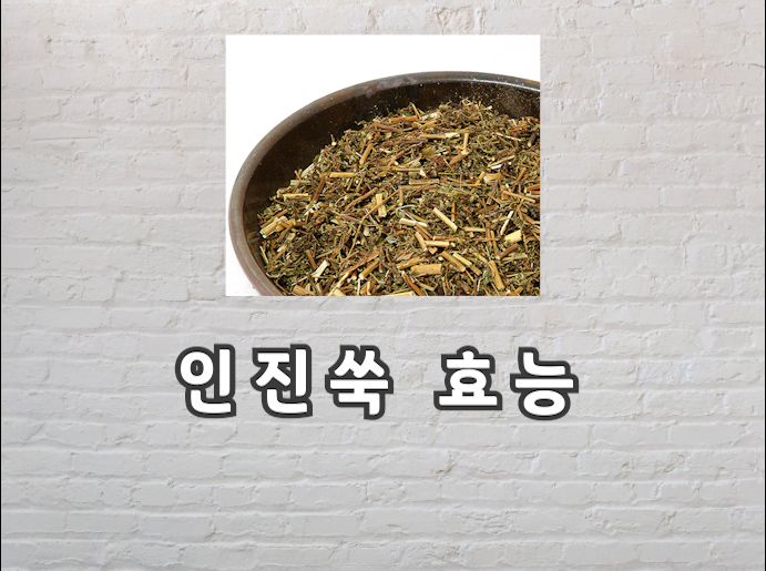  인진쑥 효능에 대한 모든정보 보고가세요