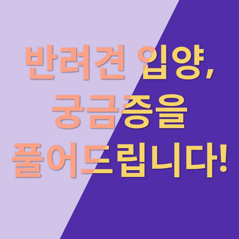 반려견 입양_4