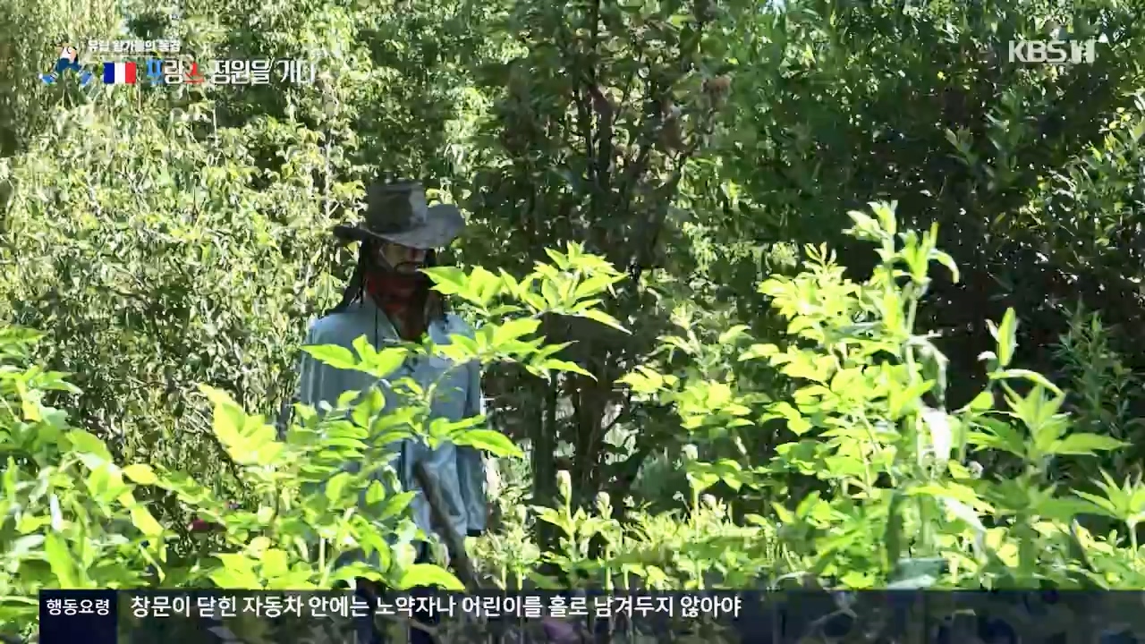 걸어서 세계속으로.E804.230806p-NEXT.mp4_20230812_180541.575.jpg
