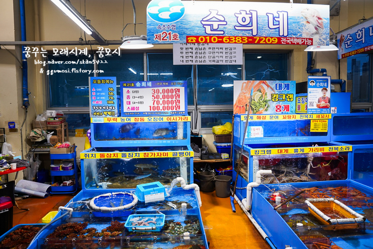 속초수협 순희네횟집 12