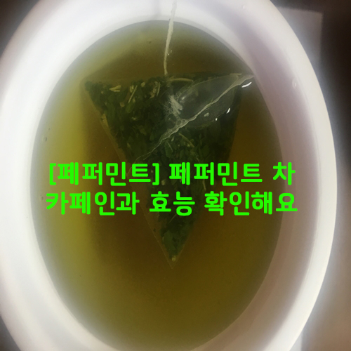  [페퍼민트] 페퍼민트차 카페인과 효능 확인해요