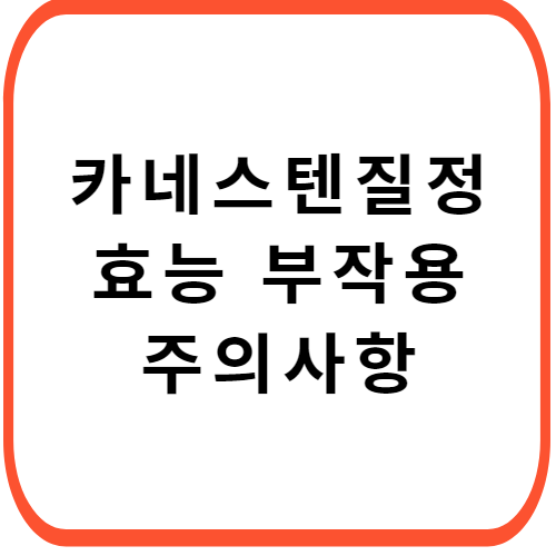 카네스텐-질정-효능-부작용-썸네일