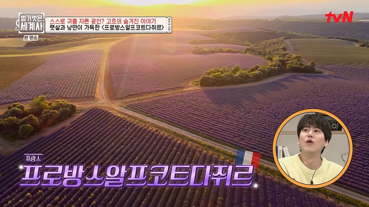 벌거벗은 세계사.E87.230222p-NEXT.mp4_20230401_170258.928.jpg