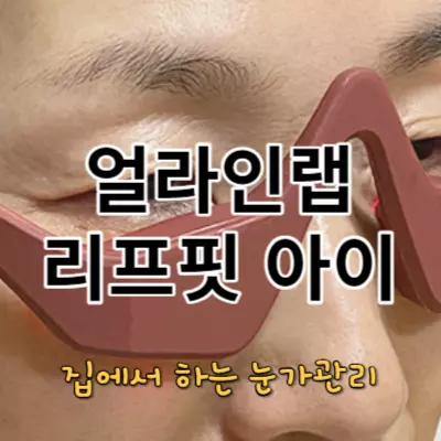 얼라인랩 리프핏 아이 내돈내산 후기 효과 사용법 총정리