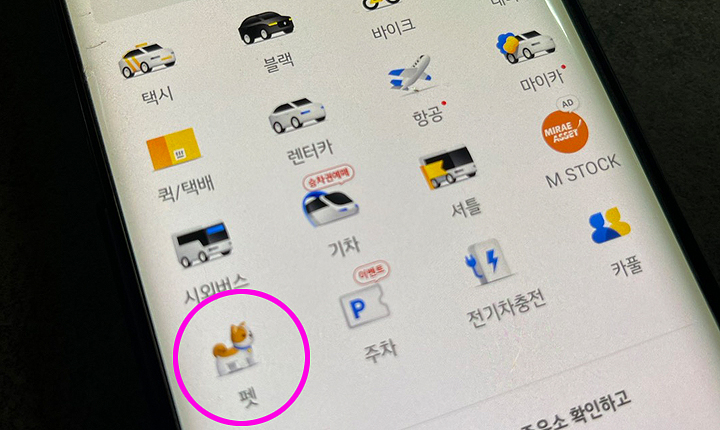 카카오 펫 택시 이용방법 대상 요금 및 주의사항 대표이미지