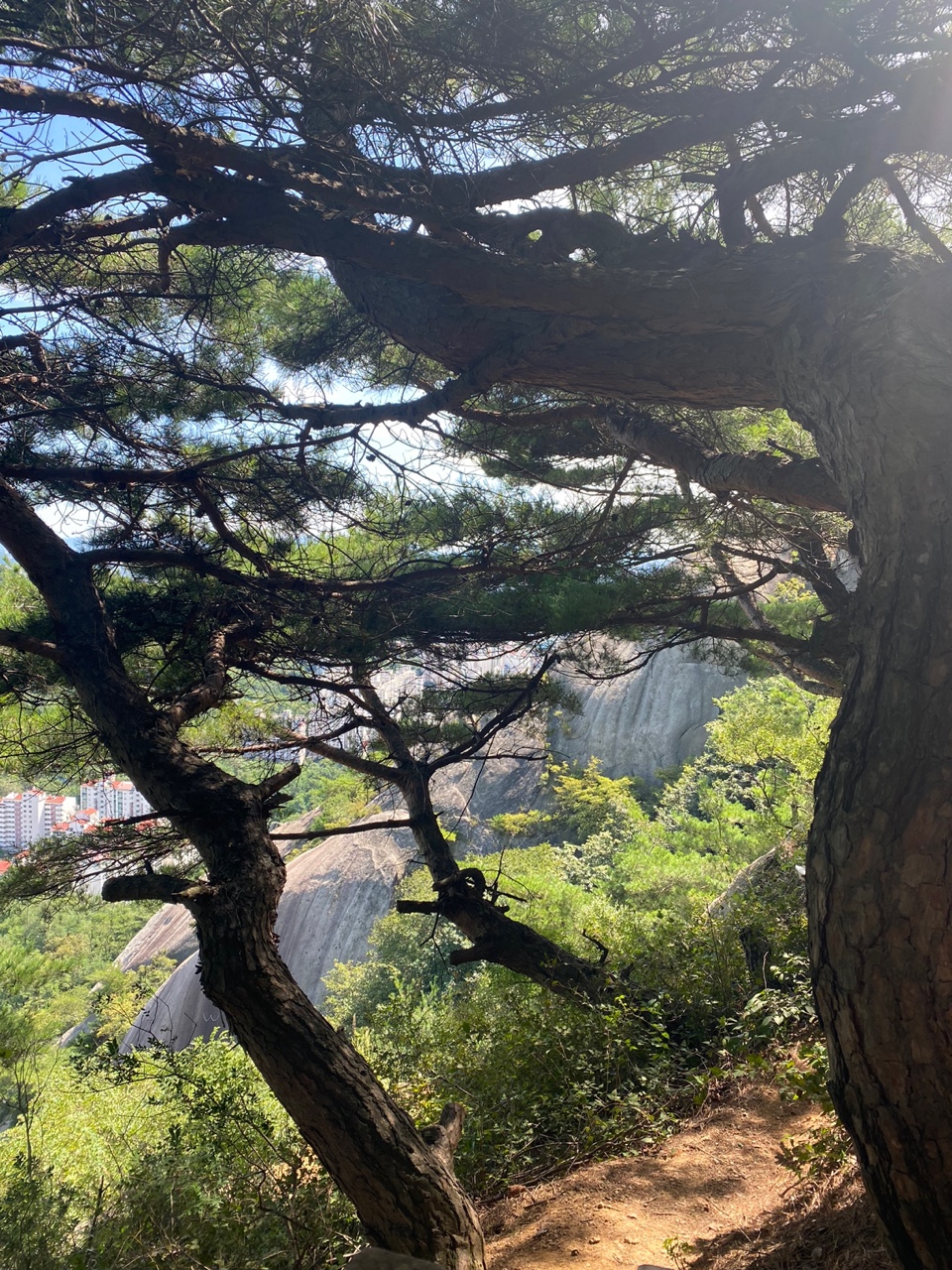 서울 안산 경치