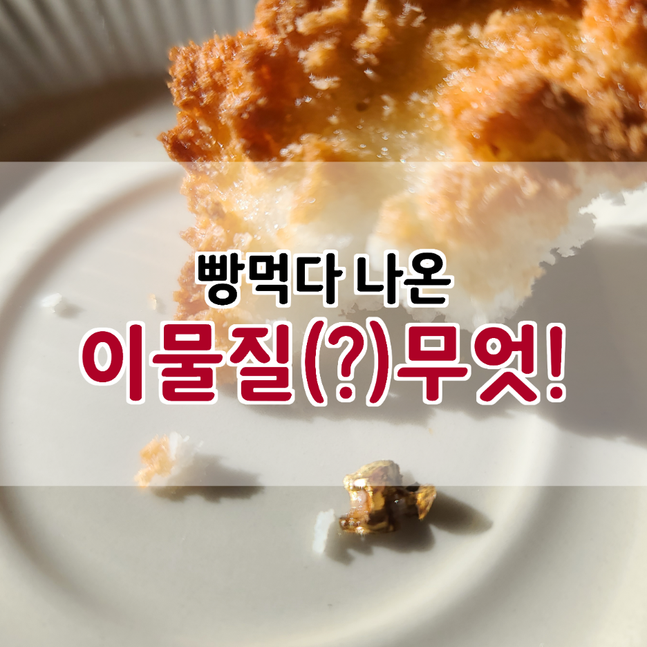  착한마음으로 살자! 빵먹다 이게 무슨일?