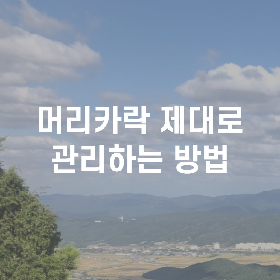 머리카락 관리방법