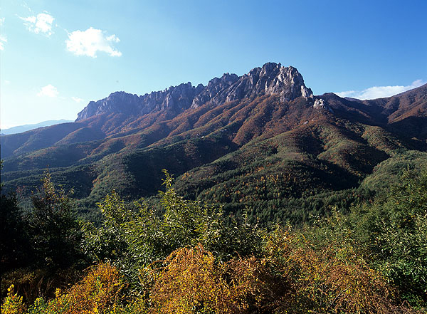 설악산 대표경관(오색 주전골 계곡&amp;#44; 울산바위&amp;#44; 점봉산 곰배령 숲길)