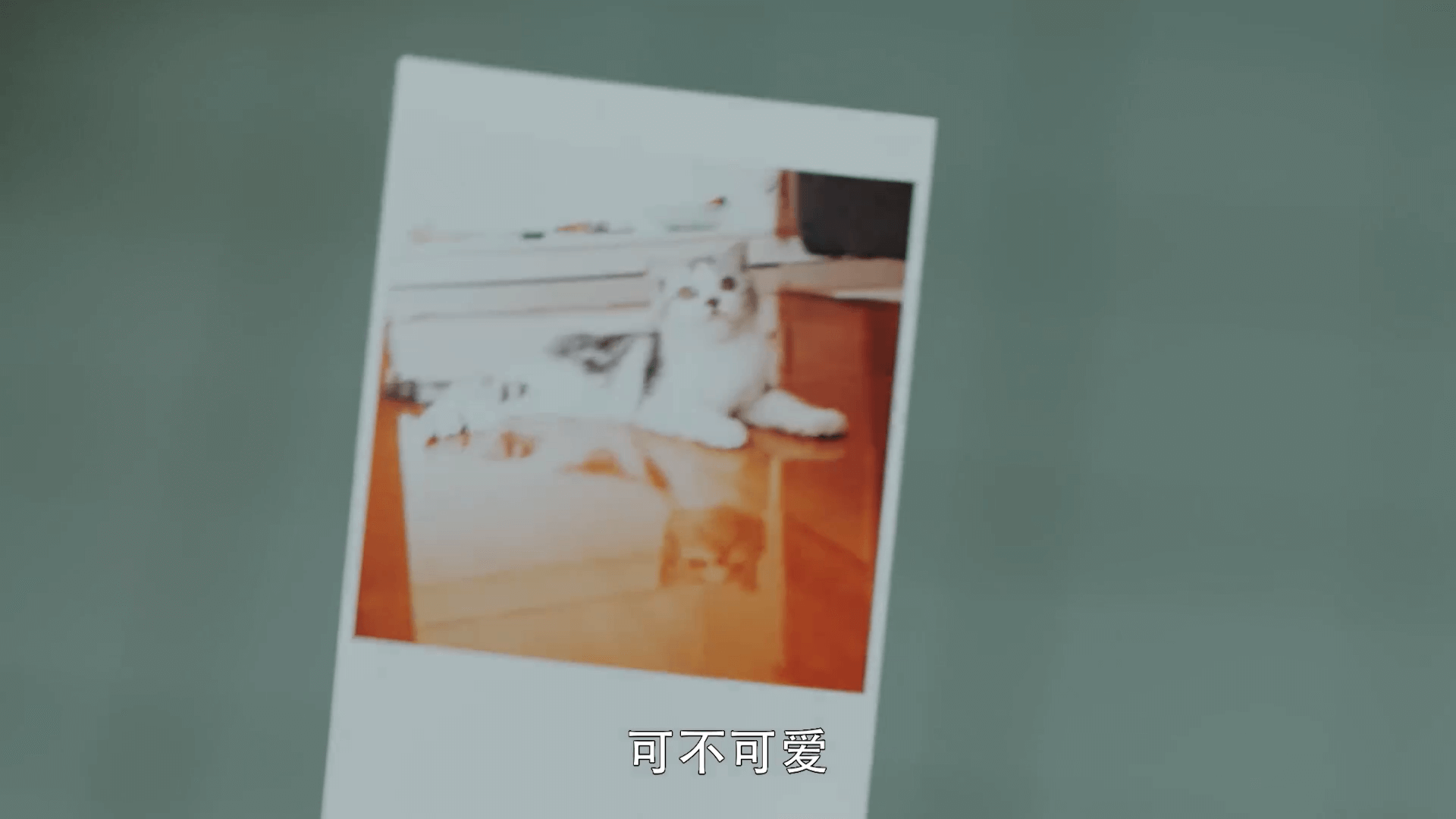 드라마 대사