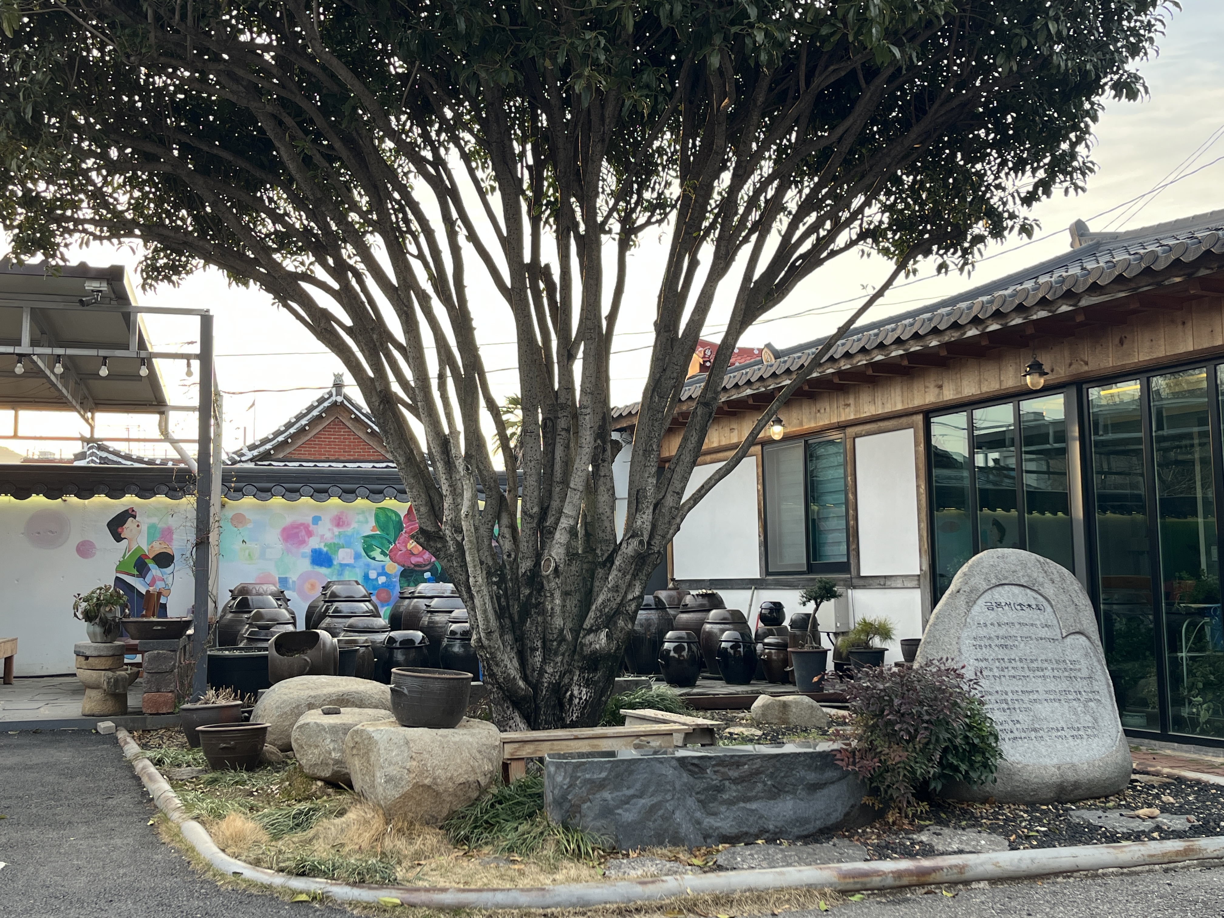 광양불고기 금목서 이미지