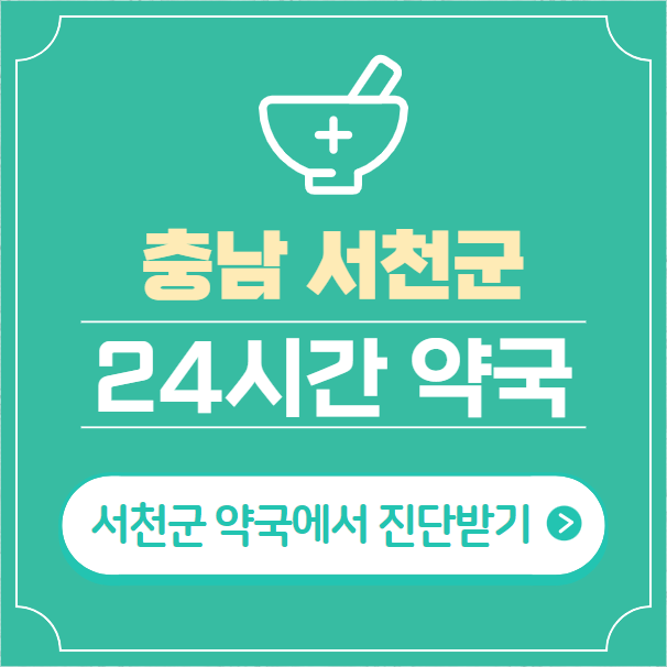  서천군 24시간 약국 찾기 | 휴일 야간 심야 일요일 당번약국 4곳