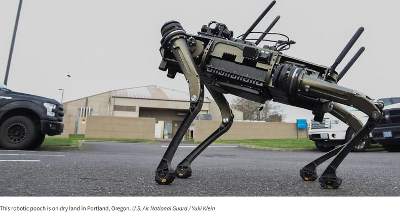 고스트 로보틱스의 수영하는 사족 로봇 VIDEO: 60 A new tail accessory propels this robot dog across streams