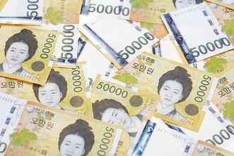 국세환급금