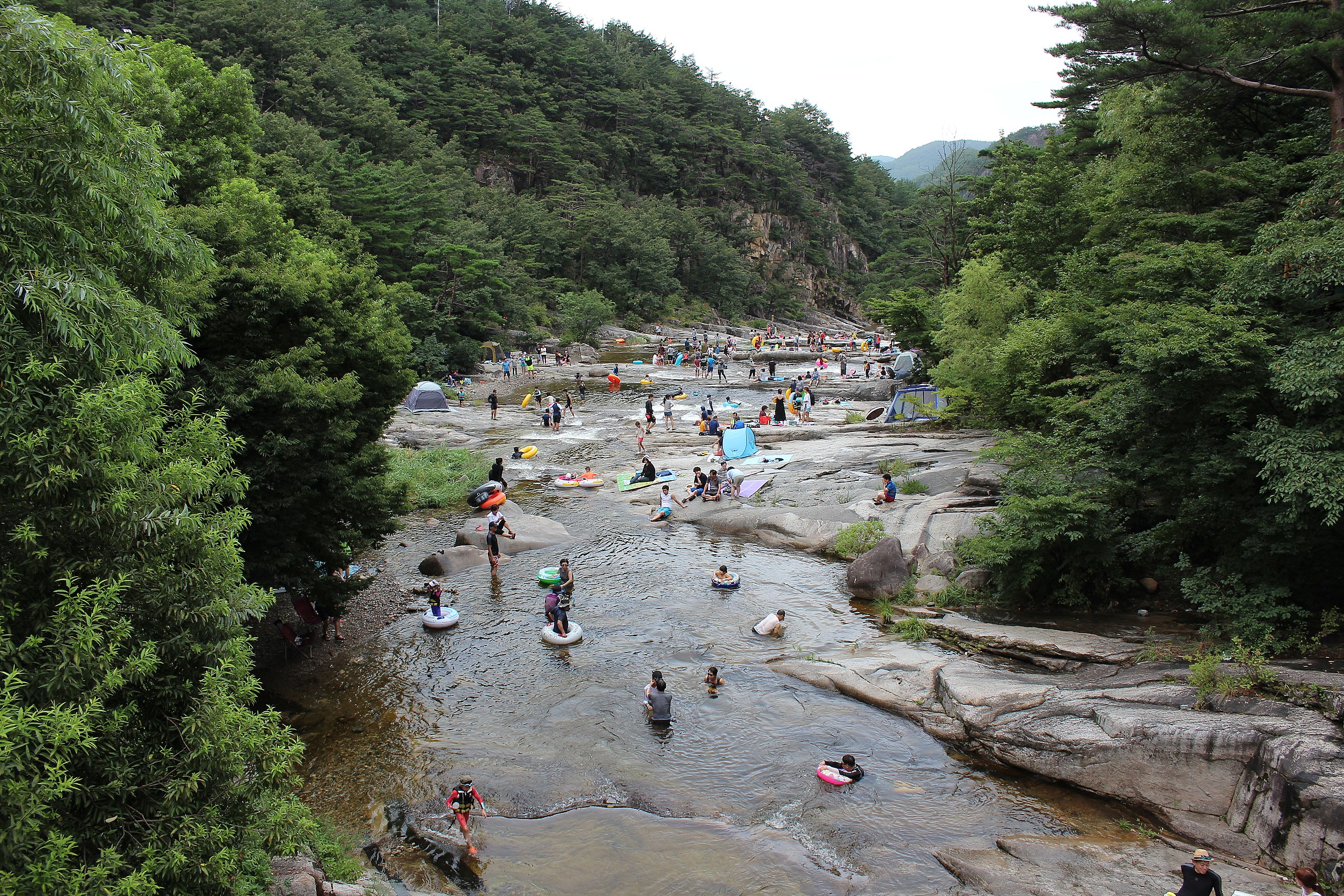 네이버 맞춤법 검사기&amp;#44; 다음 맞춤법 검사기