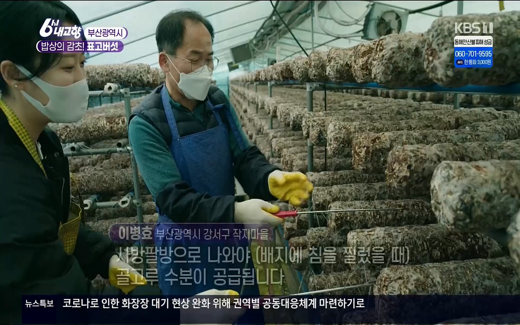 6시 내고향.E7496.220324p.H264-F1RST.mp4_20220328_181545.792.jpg