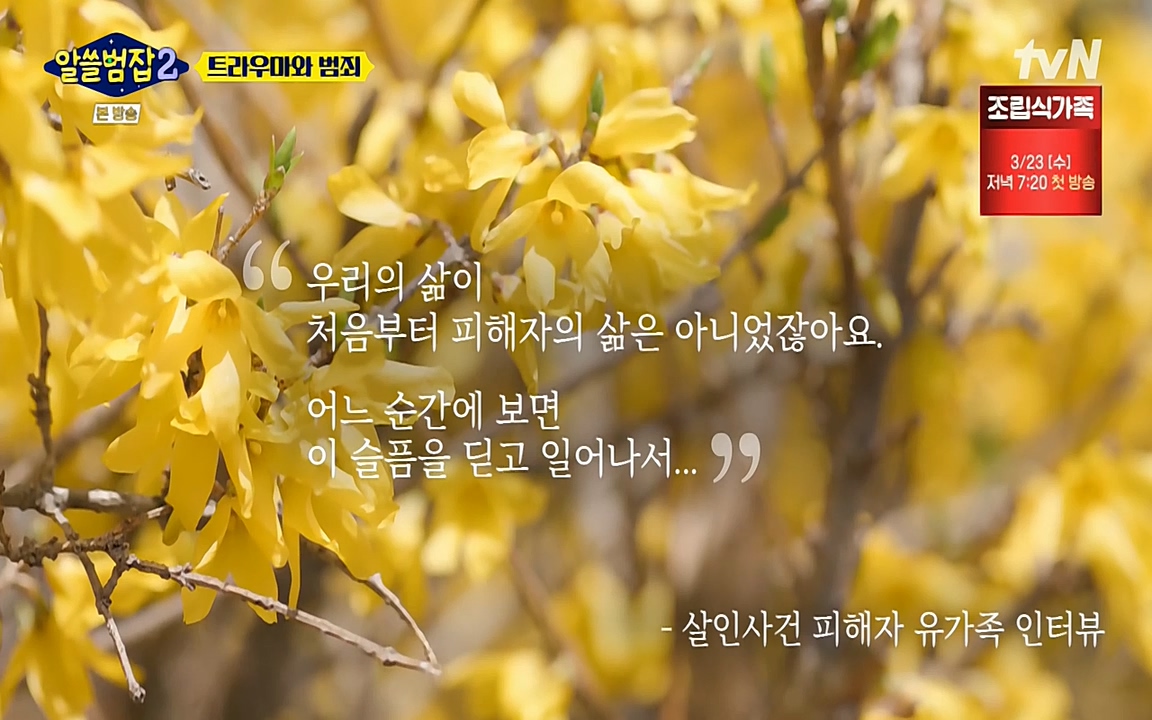 알쓸범잡 2.E11.220321p-NEXT.mp4_20220321_182410.556.jpg