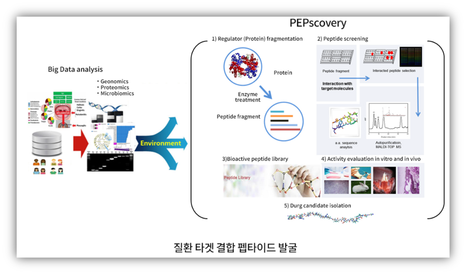 질환타겟 결합 펩타이드 발굴