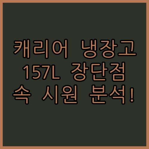 오늘의집 캐리어 냉장고 157L 장단