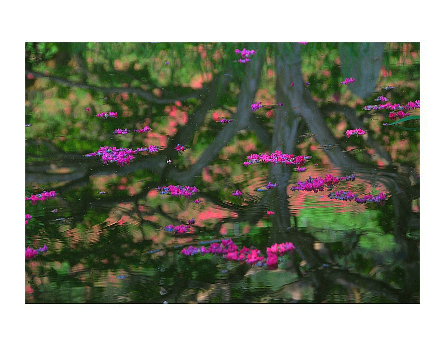 반영