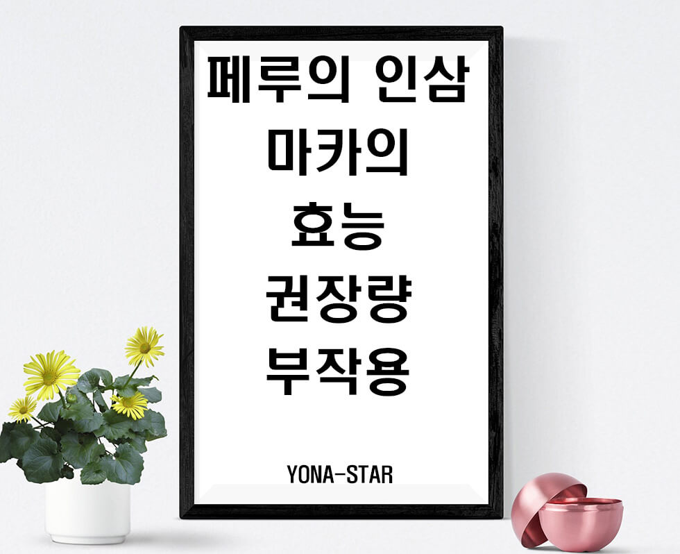  페루의 인삼 마카의 효능 / 권장량 / 부작용