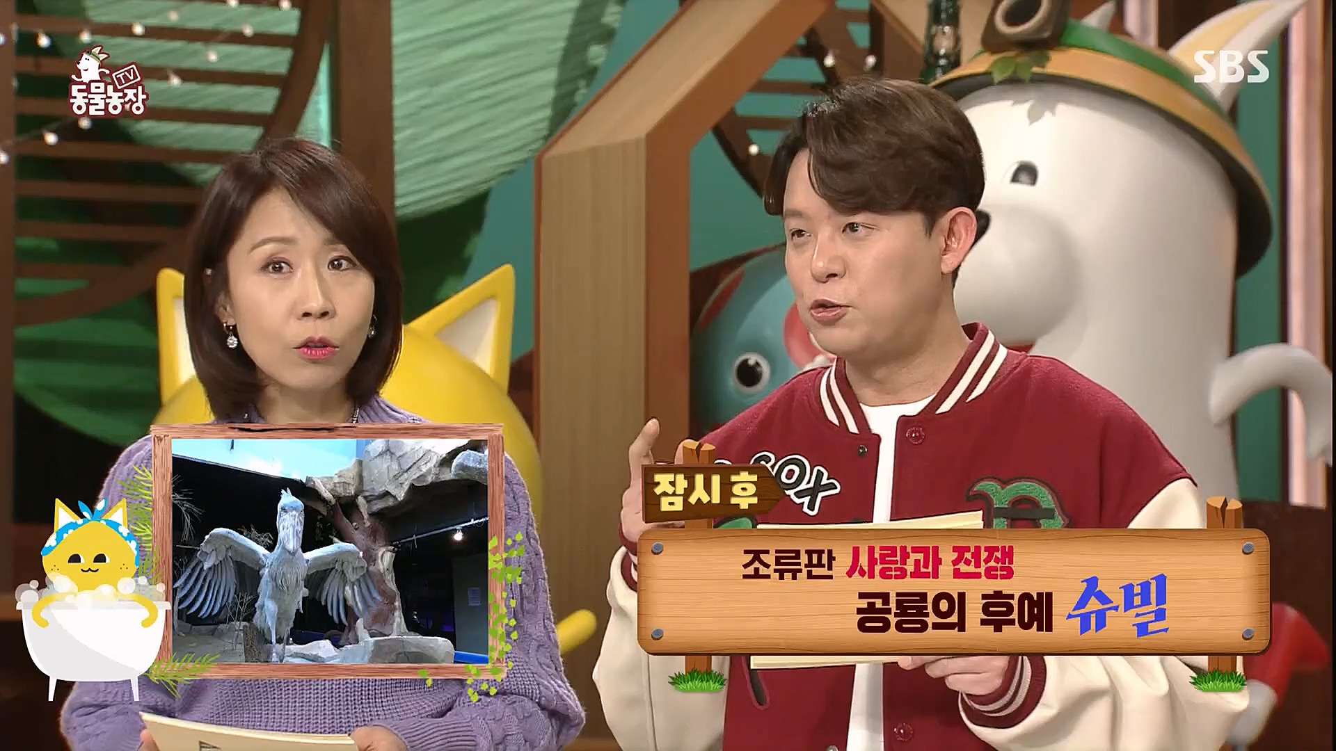 TV 동물농장.E1106.230129p.H264-F1RST.mp4_20230130_192723.760.jpg