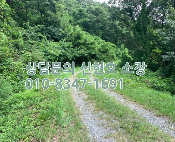 경북 영천 임야 매매 [2021타경4956] 경북 영천시 11
