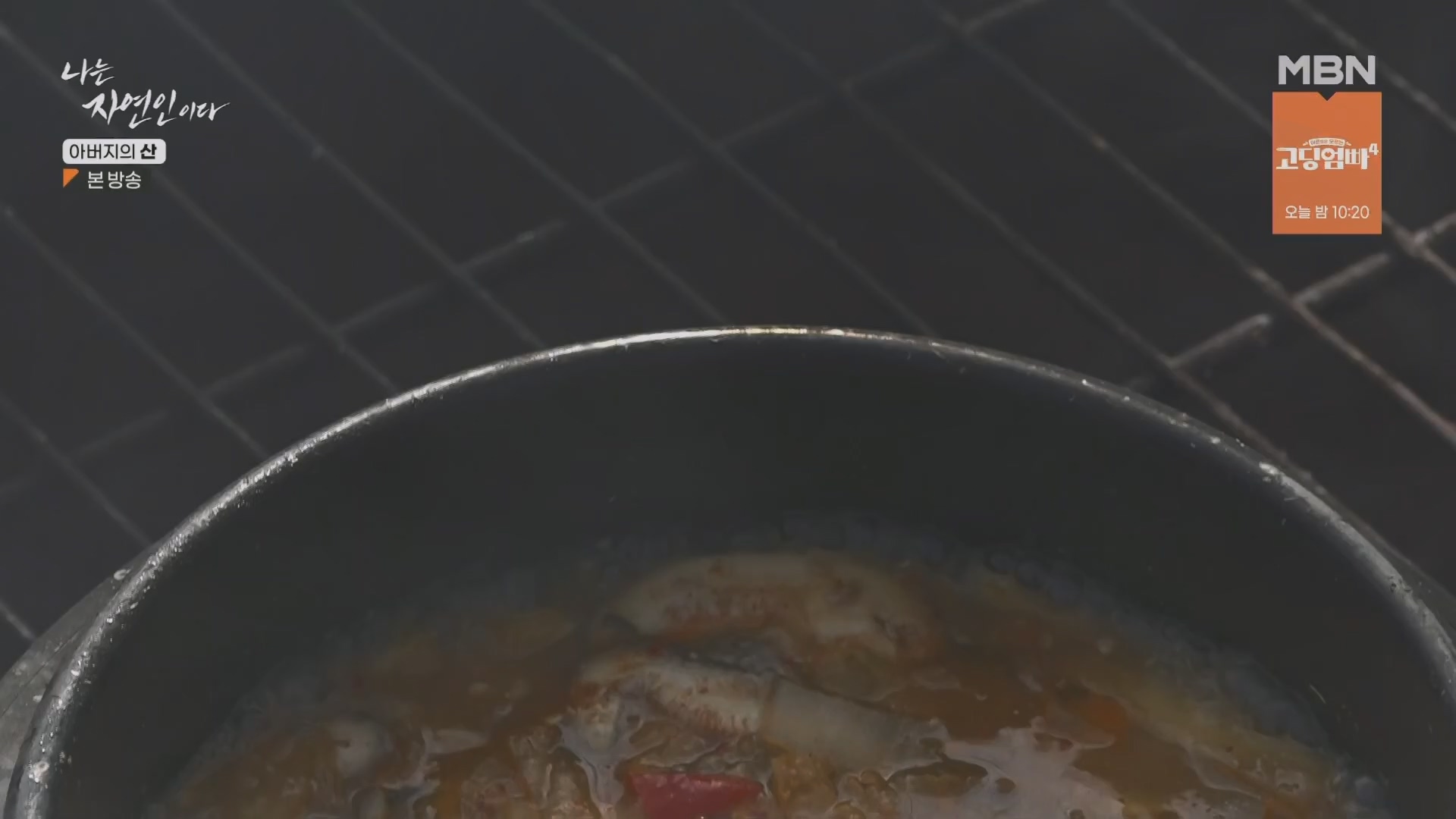 나는 자연인이다.E595.240228p.H264-F1RST.mp4_20240229_200126.969.jpg