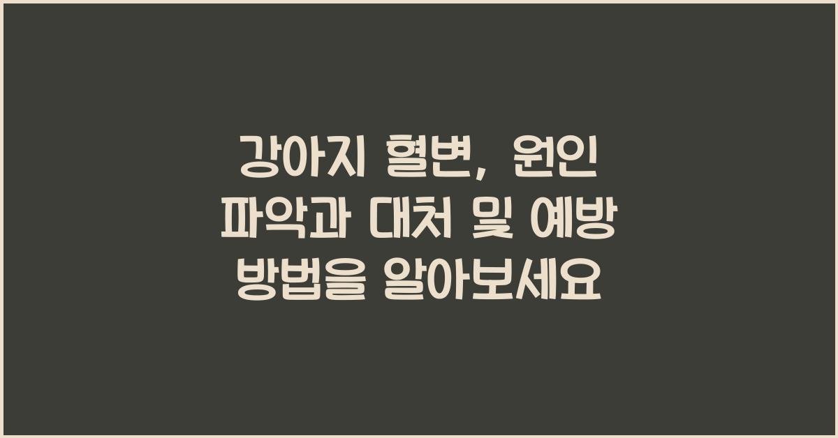 강아지 혈변: 원인 파악과 대처 및 예방 방법