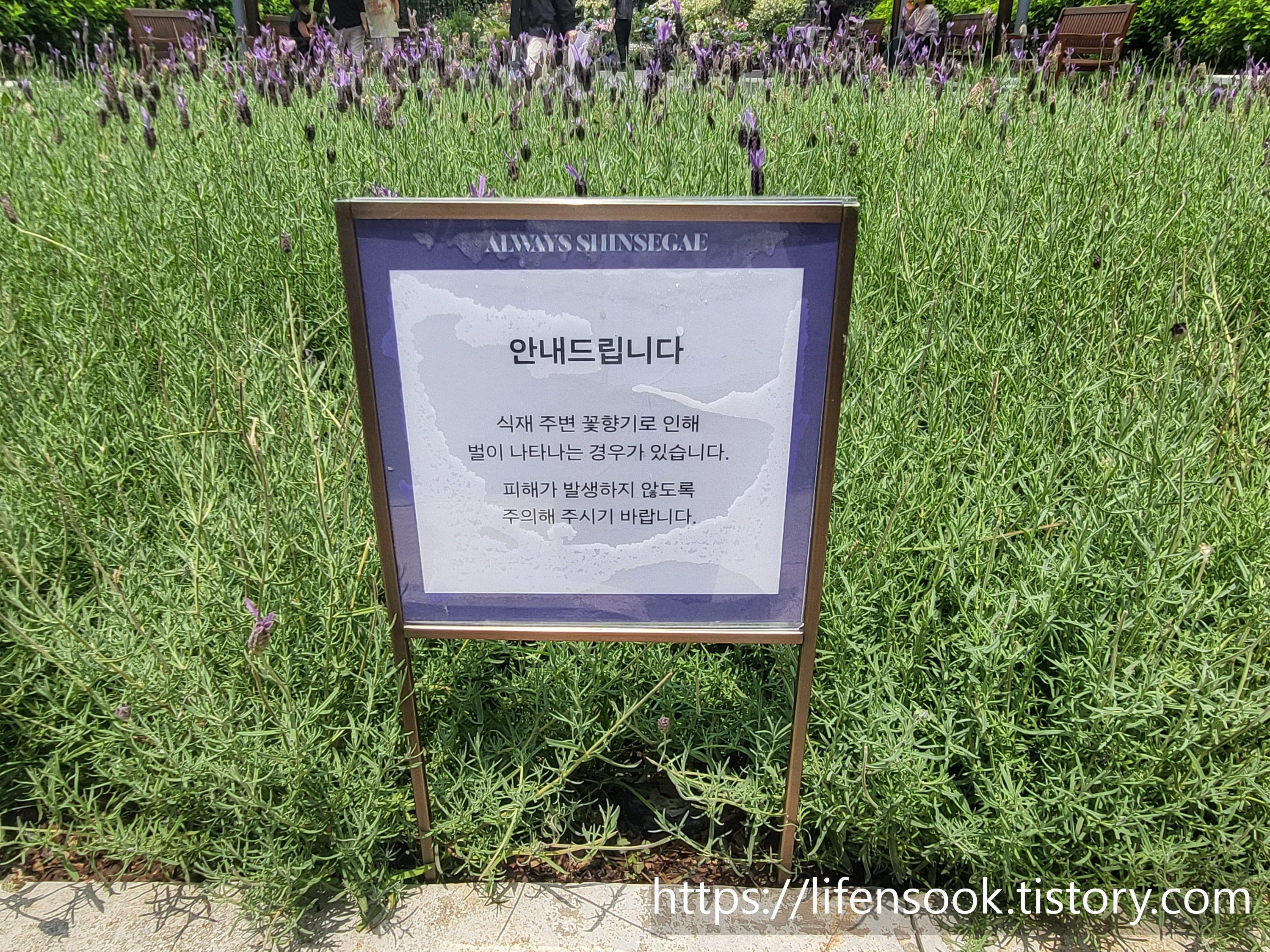 신세계백화점 강남점 에스 가든 안내문