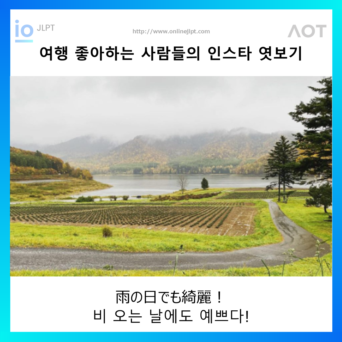  ［인스타 엿보기］雨の日でも綺麗！