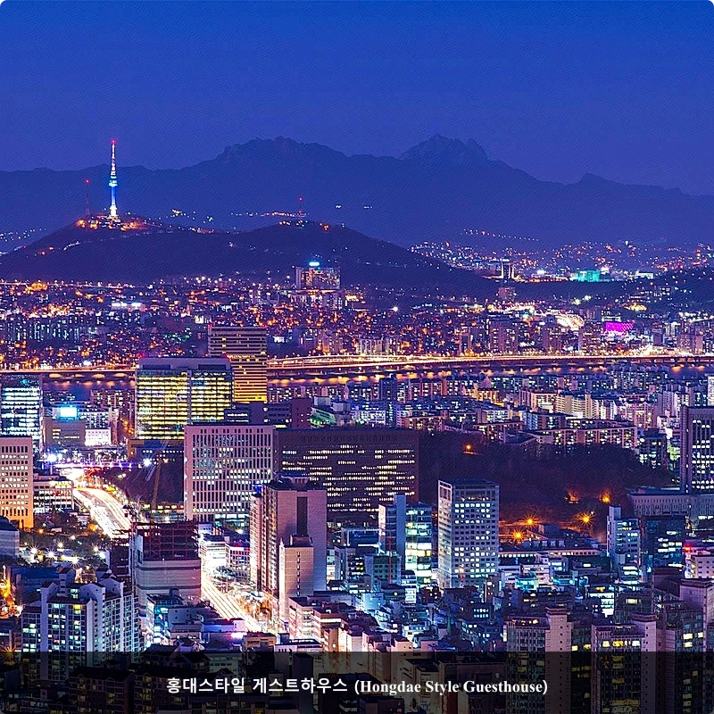 홍대스타일 게스트하우스 (Hongdae Style Guesthouse)_3