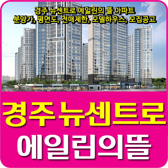  경주 뉴센트로 에일린의 뜰 아파트 분양가 및 청약, 평면도, 전매제한, 모델하우스, 모집공고 안내