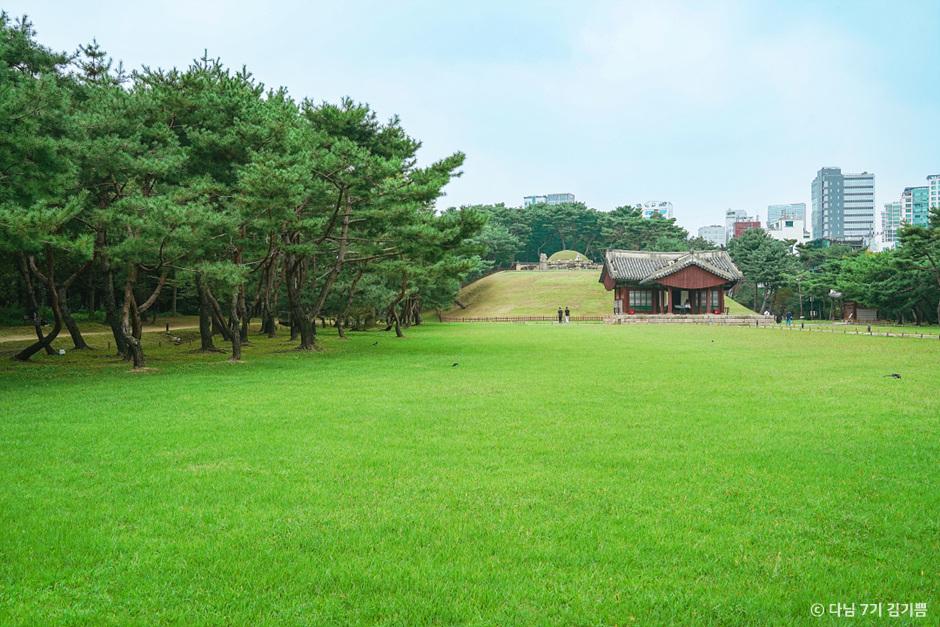  서울 여행, 유유자적 걷기 좋은 세계문화유산 왕릉 4