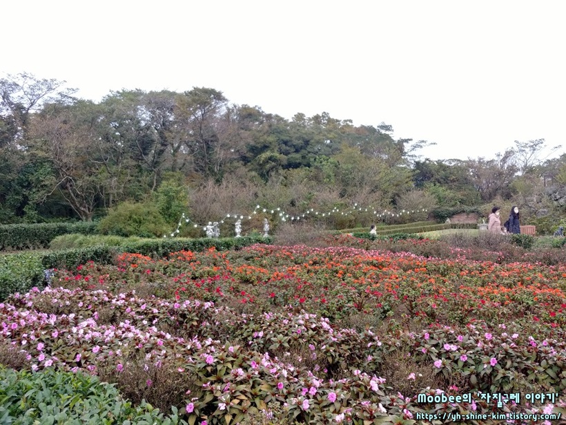 제주 에코랜드 테마파크