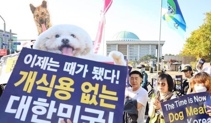  올해 ‘개 식용 금지’ 특별법 추진 2027년부터 도살 단속