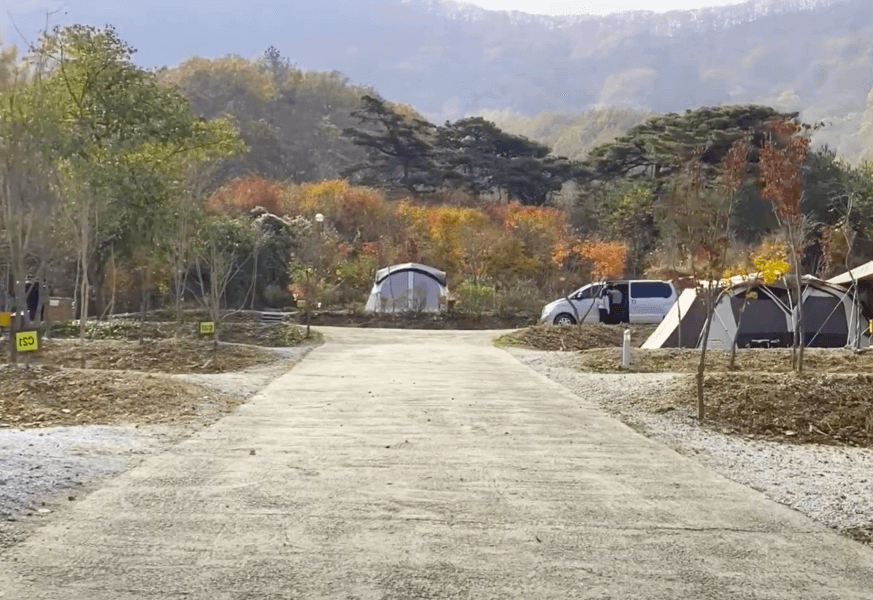  완주 소양 캠핑장 이용후기 애견동반 캠핑장 조용한 캠핑장 (feat. 미소한우)