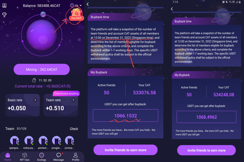  캣스타 CATSTAR 바이백(Buyback) 100만 USDT 이벤트(~12월 3일 12:00까지) 놓치지 마세요!
