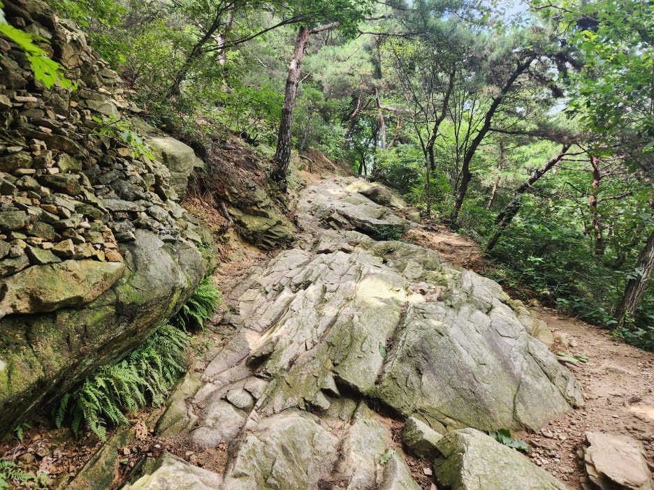 소래산정상 이미지