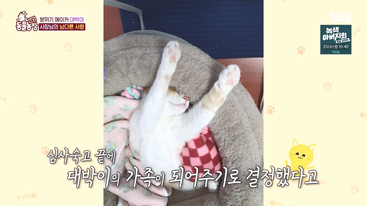 TV 동물농장.E1141.231016p-NEXT.mp4_20231015_174139.827.jpg